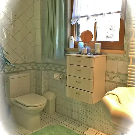 Alte Muhle Apartment Seefeld in Tirol